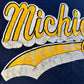 Single-Stitch Vintage Michigan Tee [medium]