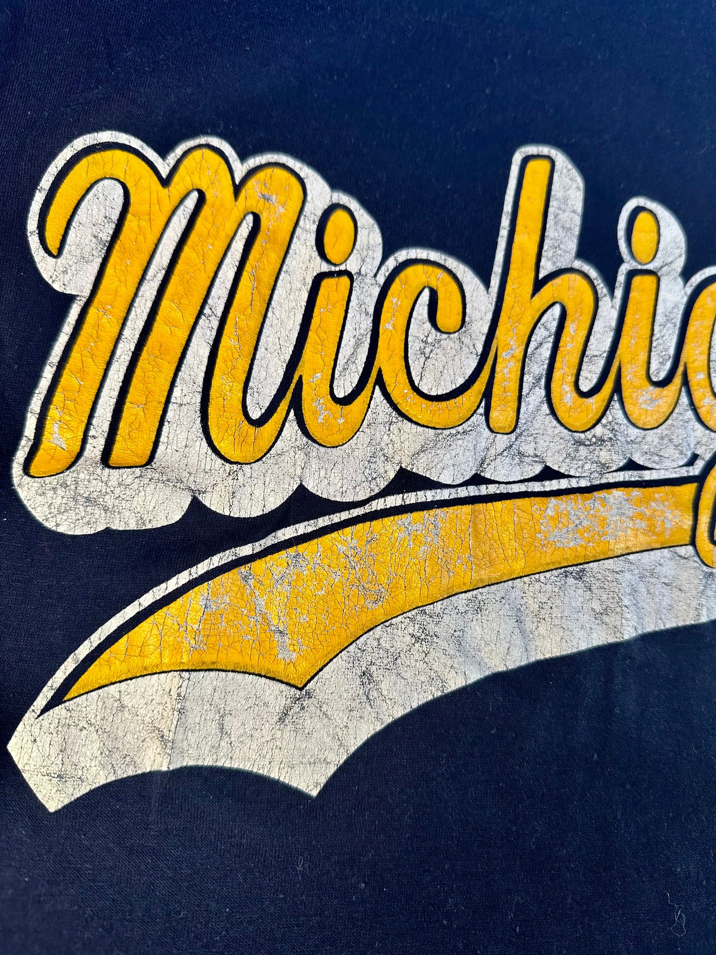 Single-Stitch Vintage Michigan Tee [medium]