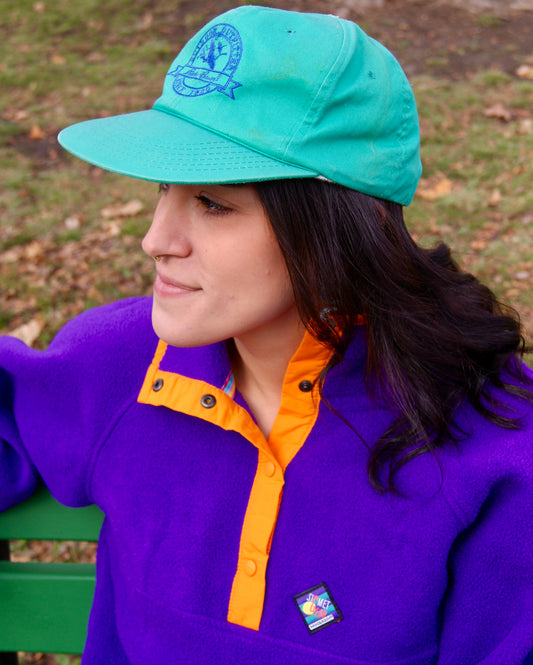 Eddie Bauer high-crown, structured cap in turquoise color with vintage goose logo in purple
