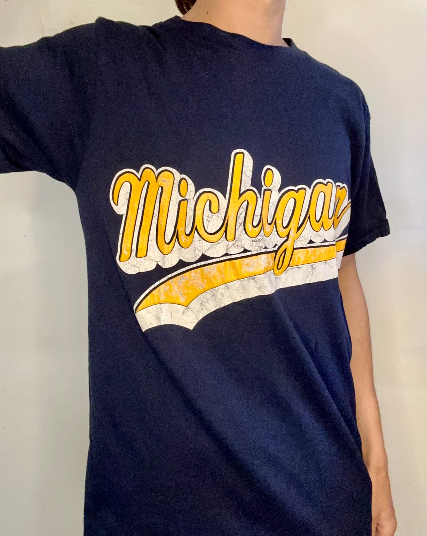 Single-Stitch Vintage Michigan Tee [medium]